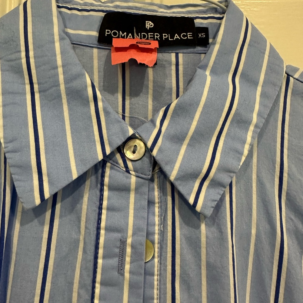 Pomander Place Blue Striped Shirt